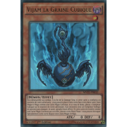 MVP1-FR032 Vijam la Graine Cubique Ultra Rare