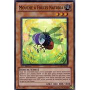 HA03-FR043 Mouche à Fruits Naturia Super Rare