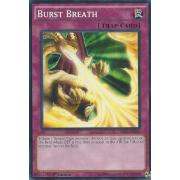 SR02-EN036 Burst Breath Commune