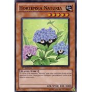 HA03-FR044 Hortensia Naturia Super Rare
