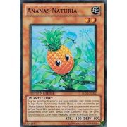 HASE-FR002 Ananas Naturia Super Rare