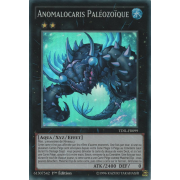 TDIL-FR099 Anomalocaris Paléozoïque Super Rare