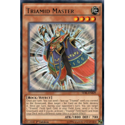 TDIL-EN029 Triamid Master Rare