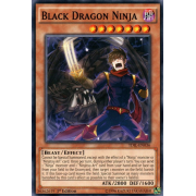 TDIL-EN036 Black Dragon Ninja Commune