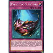 TDIL-EN095 Paleozoic Olenoides Commune