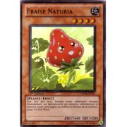 HA04-FR021 Fraise Naturia Super Rare