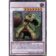 HA04-FR030 Landoise Naturia Secret Rare