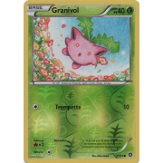 XY11_3/114 Granivol Inverse