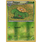 XY11_4/114 Floravol Inverse