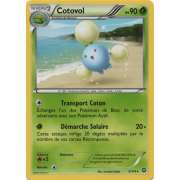 XY11_5/114 Cotovol Rare