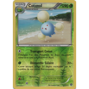 XY11_5/114 Cotovol Inverse