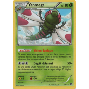 XY11_7/114 Yanmega Rare