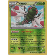 XY11_7/114 Yanmega Inverse