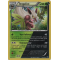 XY11_11/114 Tengalice Holo Rare