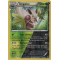 XY11_11/114 Tengalice Inverse