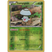 XY11_12/114 Trompignon Inverse