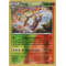 XY11_15/114 Pyrax Inverse