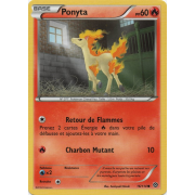 XY11_16/114 Ponyta Commune