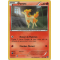 XY11_16/114 Ponyta Commune