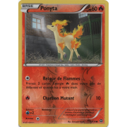 XY11_16/114 Ponyta Inverse