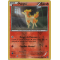 XY11_16/114 Ponyta Inverse