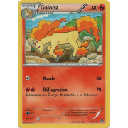 XY11_17/114 Galopa Peu commune