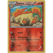 XY11_17/114 Galopa Inverse