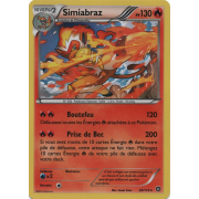 XY11_20/114 Simiabraz Holo Rare