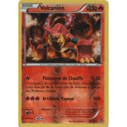 XY11_25/114 Volcanion Inverse