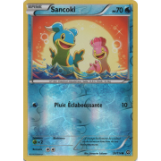 XY11_28/114 Sancoki Inverse