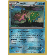 XY11_29/114 Tritosor Inverse