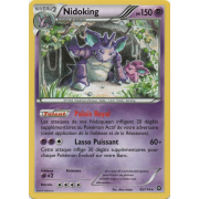 XY11_45/114 Nidoking Rare