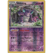 XY11_45/114 Nidoking Inverse