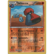 XY11_55/114 Tarinorme Inverse