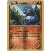 XY11_58/114 Cradopaud Inverse