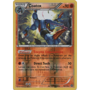 XY11_59/114 Coatox Inverse