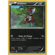 XY11_63/114 Scalpion Commune