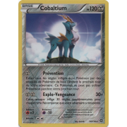 XY11_74/114 Cobaltium Inverse