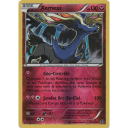 XY11_81/114 Xerneas Inverse