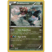 XY11_83/114 Drakkarmin Rare