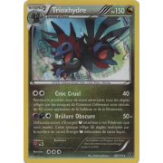 XY11_86/114 Trioxhydre Holo Rare