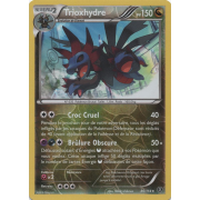 XY11_86/114 Trioxhydre Inverse