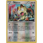 XY11_88/114 Miaouss Inverse