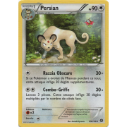 XY11_89/114 Persian Peu commune