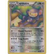 XY11_91/114 Capidextre Inverse