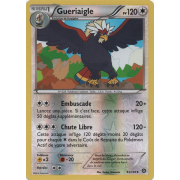 XY11_93/114 Gueriaigle Inverse