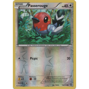 XY11_94/114 Passerouge Inverse