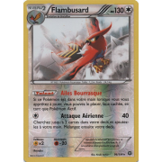 XY11_96/114 Flambusard Inverse