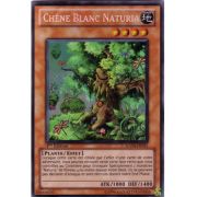 HA04-FR051 Chêne Blanc Naturia Secret Rare