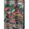 XY11_113/114 Pokemon Ranger Full Art Ultra Rare